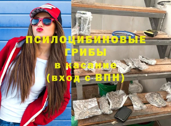 крисы Арсеньев